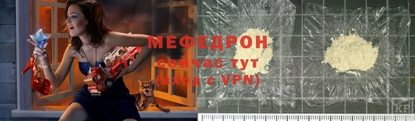 индика Медвежьегорск