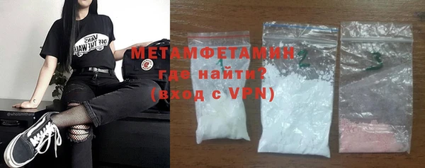 индика Медвежьегорск