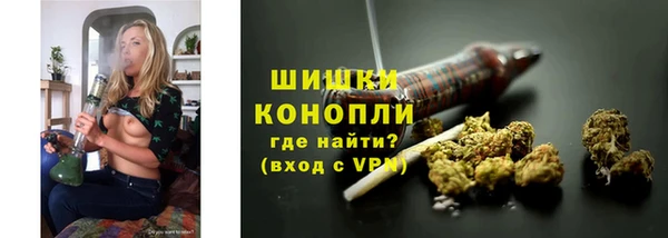 индика Медвежьегорск