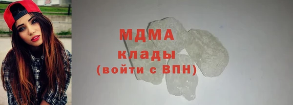 индика Медвежьегорск