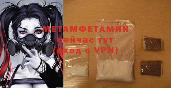 индика Медвежьегорск