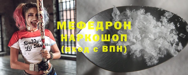 индика Медвежьегорск