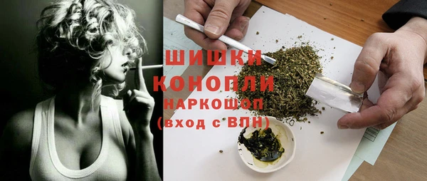 индика Медвежьегорск