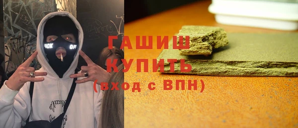 индика Медвежьегорск