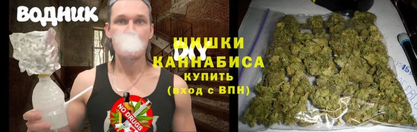 молекула духа Мегион