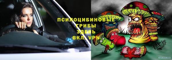 молекула духа Мегион
